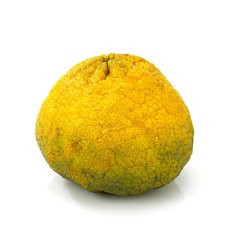 ugli fruit fruit calories ugli fruit fruit calories