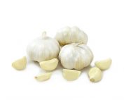 Fresh garlic 5 pack bulbs in white background
