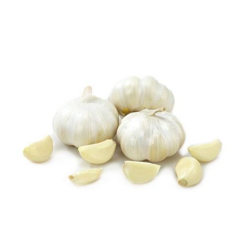 Fresh garlic 5 pack bulbs in white background