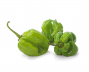 buy green habanero