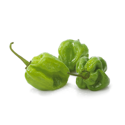 buy green habanero