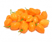 Habanero-Orange