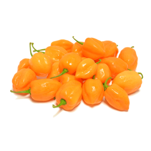 Habanero-Orange