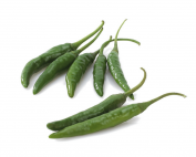 Thai-Chili-Green