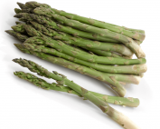 Fresh Asparagus on a White Background