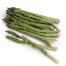 Fresh Asparagus on a White Background