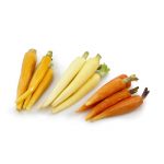Baby-Colored-Carrots