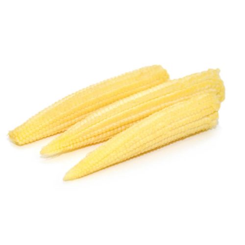 fresh baby corn on a white background.