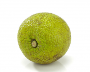 Whole Breadfruit on a White Background