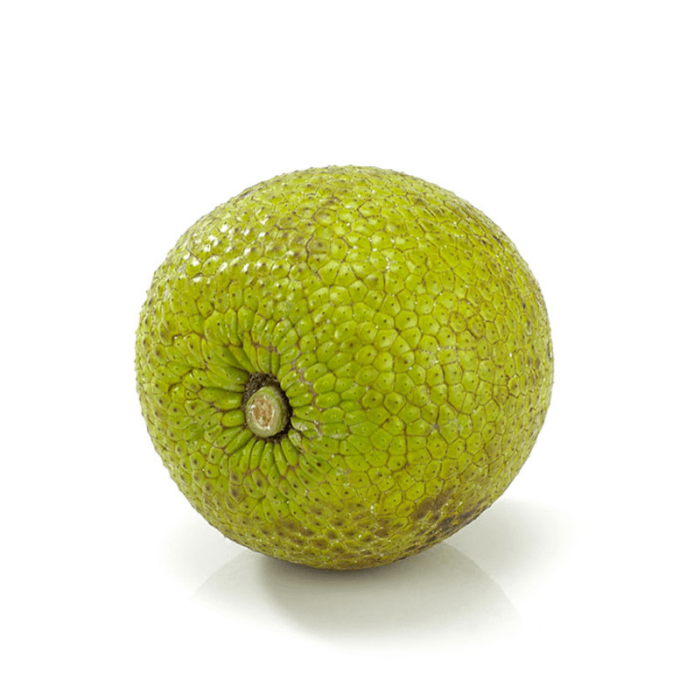 Whole Breadfruit on a White Background