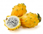 Dragon Fruit Golden (1)