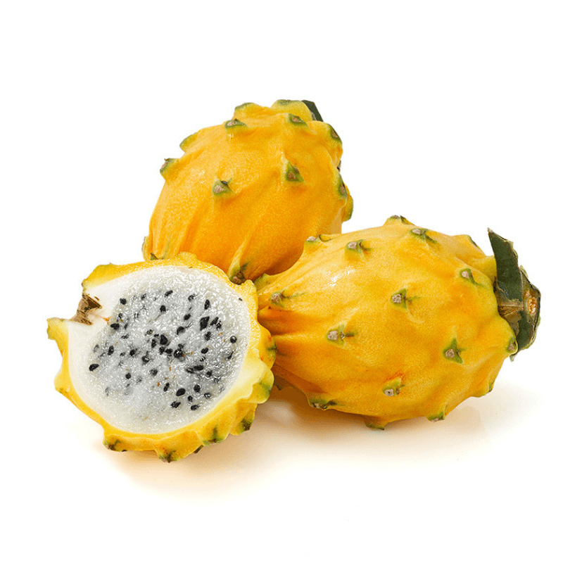 Dragon Fruit Gold - Vega Produce: Eat Exotic, Be Healthy