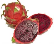 Dragon Fruit Red on White Background