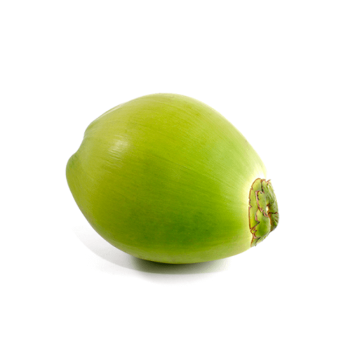 Fresh green coconut on white background