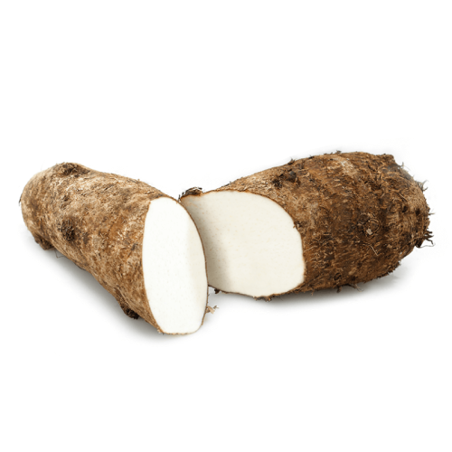 Malanga White - Fresh Root Vegetable with Creamy Texture and Earthy Taste