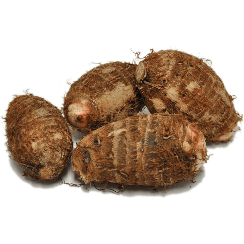 Malanga Eddoe - Fresh and Nutritious Root Vegetable