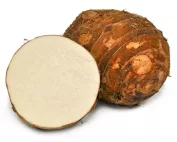 Malanga isleña - root vegetable with brown skin and creamy flesh.