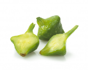 Green Patty Pan Squash on White Background