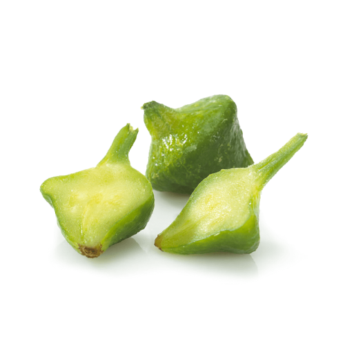 Green Patty Pan Squash on White Background