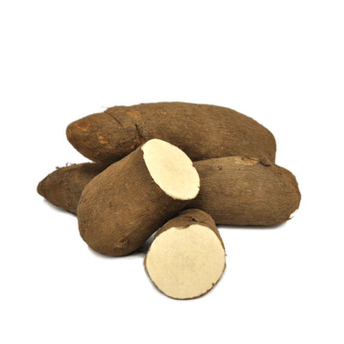 Vega-Ghana-Yam-Root