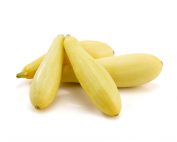 Vega-Yellow-Squash