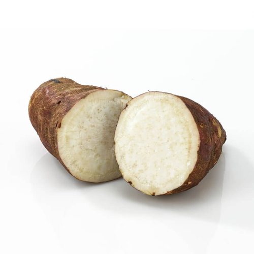 Freshly harvested boniato, also known as Cuban sweet potato, white background