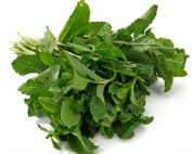 Fresh mint leaves on white background