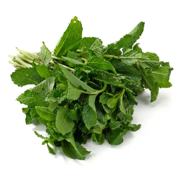 Fresh mint leaves on white background