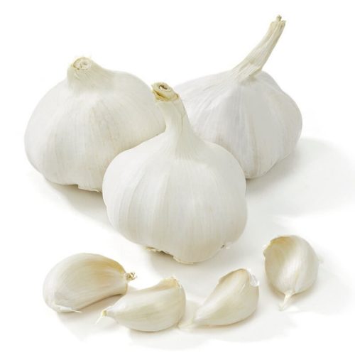 Garlic White (1)