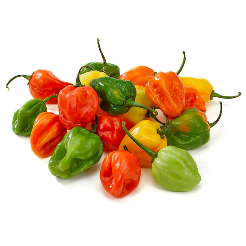 Habanero Varieties | tunersread.com