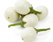 White-Eggplant