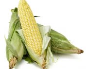 Yellow Corn (1)