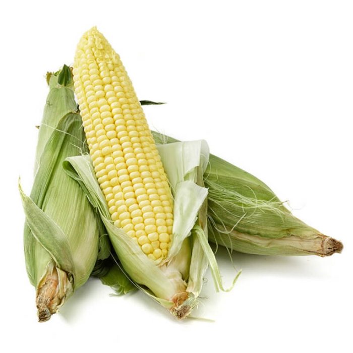 Yellow Corn (1)