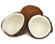 Order dry coconut! Dried coconut, Also known as Copra (the white flesh inside), is a tropical and popular fruit in different parts of the world. This fruit has a high nutritional value; It is rich in fat, fiber, and B vitamins. The fruit is round and brown. It has white flesh inside.