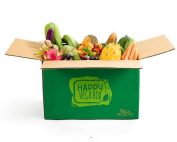 Happy Vega Box. Order your customized box online