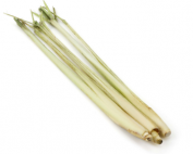 Lemon Grass