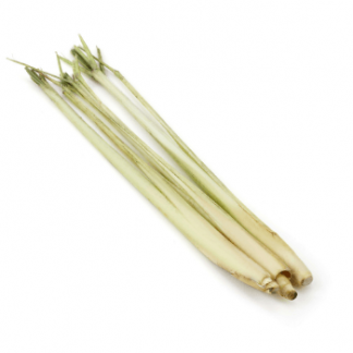 Lemon Grass