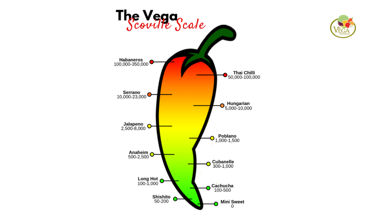 https://www.vegaproduce.com/wp-content/uploads/2019/03/The-Vega-Scoville-1200x699-1.png