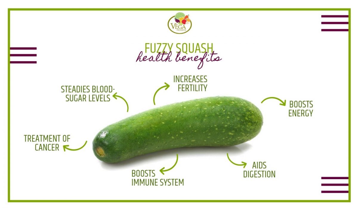 Fuzzy Squash Benefits Vega Produce Eat Exotic, Be Healthy