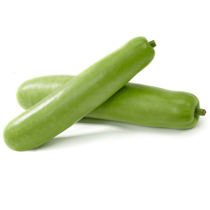 Fresh Indu Long Squash - Vibrant and Delicious Vegetable on White Background