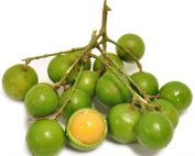 Fresh quenepas at a white background