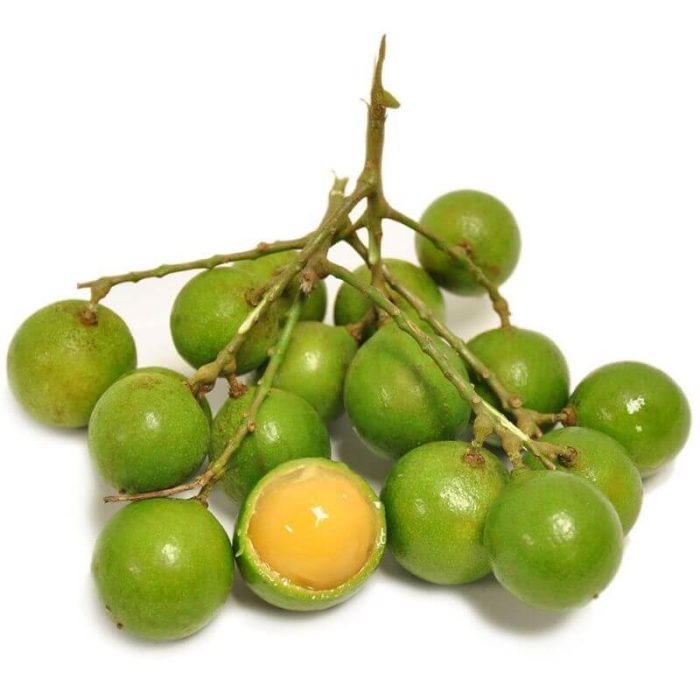 Fresh quenepas at a white background