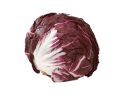 Radicchio vegetable on a white background