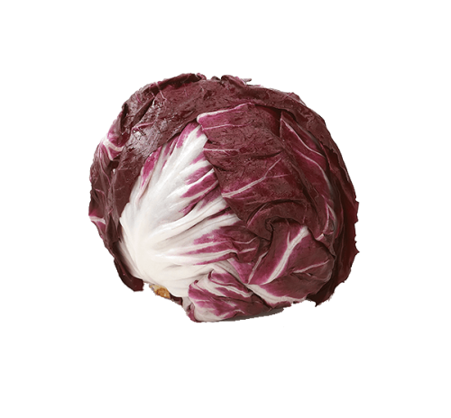 Radicchio vegetable on a white background