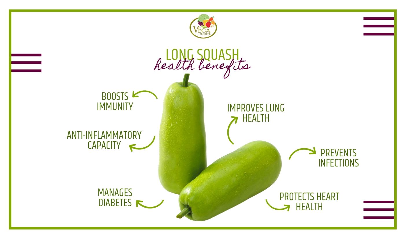 Long Squash Benefits. Vegetable delivery