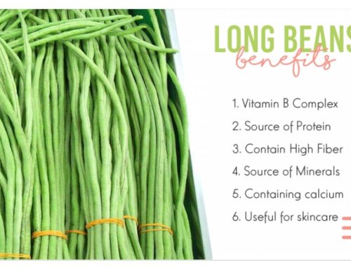 Long Beans Benefits